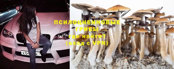 винт Лагань